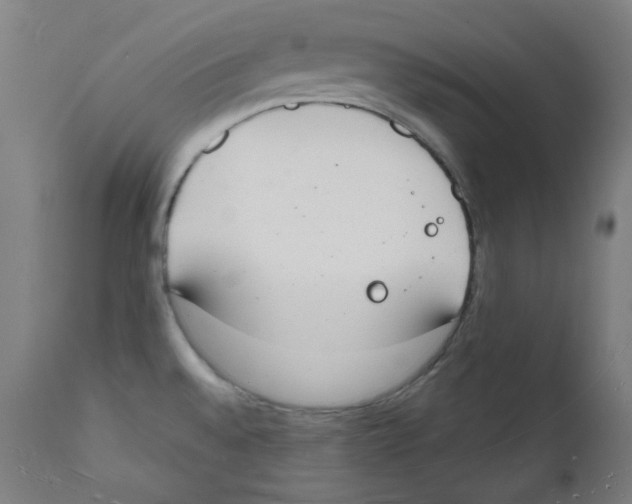 X0000112141528200909041027