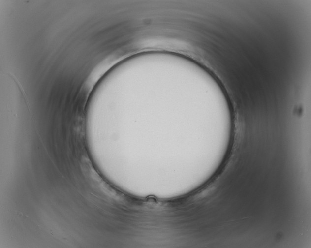 X0000112141529200909041027