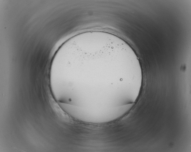 X0000112141530200909041027