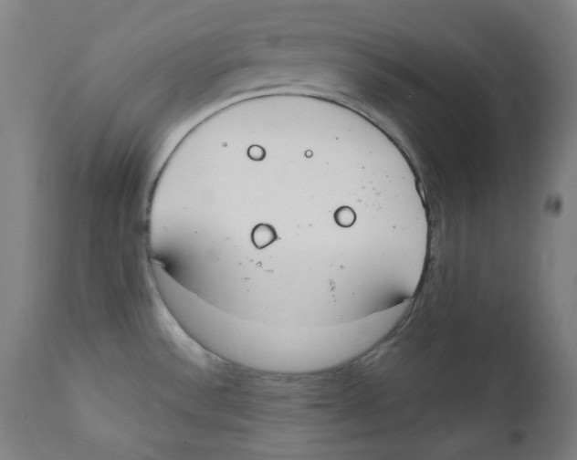 X0000112141532200909041027