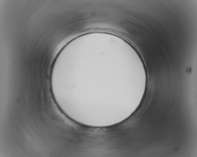 X0000112141533200909041027