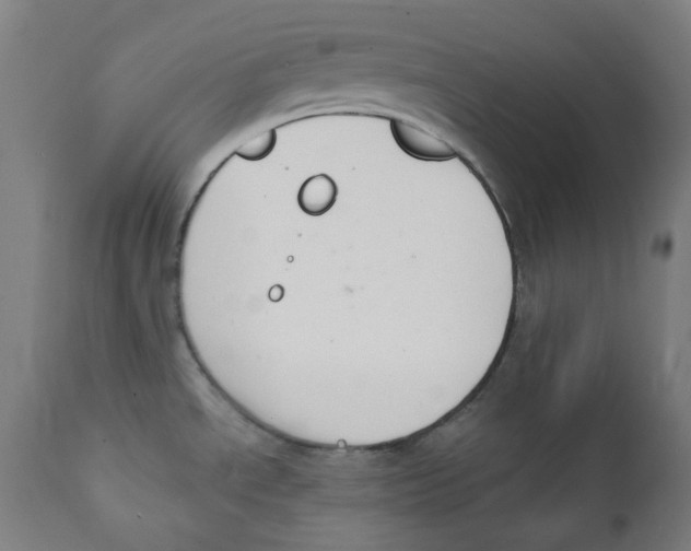 X0000112141534200909041027