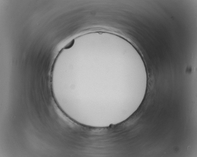 X0000112141535200909041027