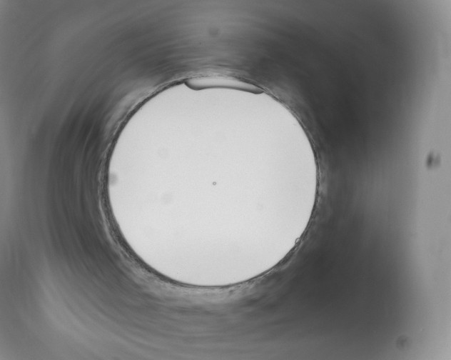 X0000112140001200909181410