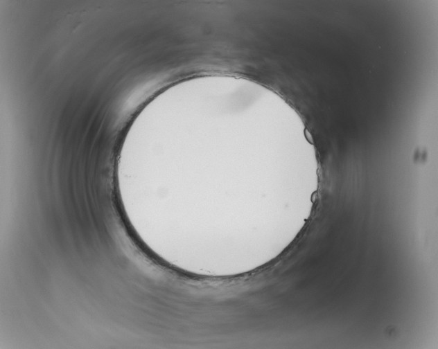 X0000112140005200909181410