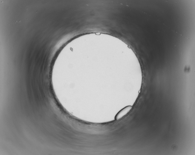 X0000112140008200909181409