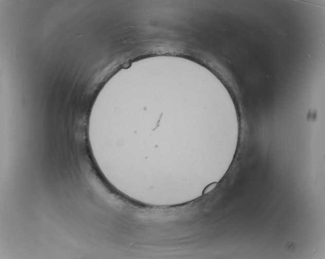 X0000112140009200909181409