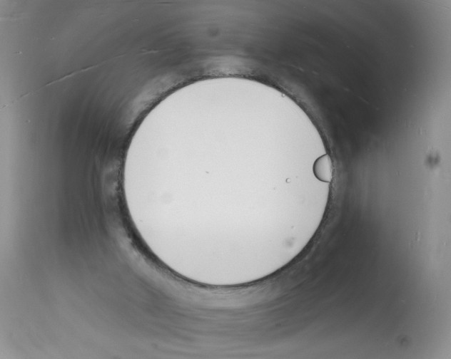 X0000112140010200909181409