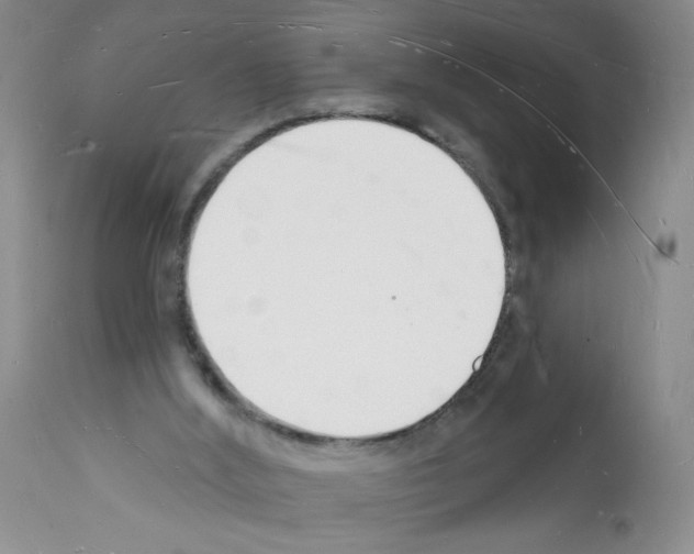 X0000112140012200909181409