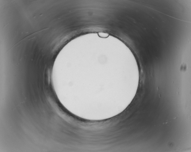 X0000112140013200909181409