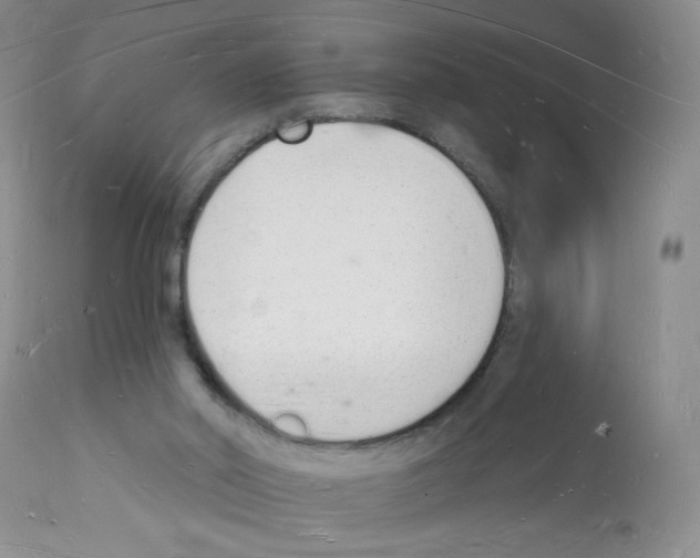 X0000112140014200909181409