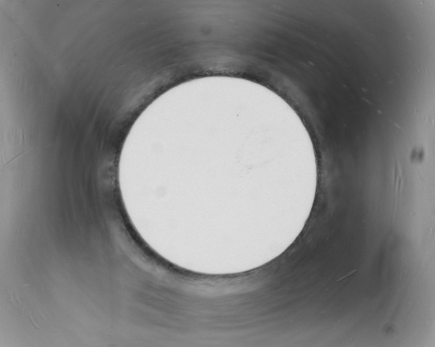 X0000112140017200909181409