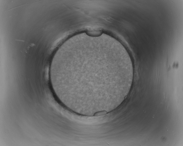 X0000112140019200909181409