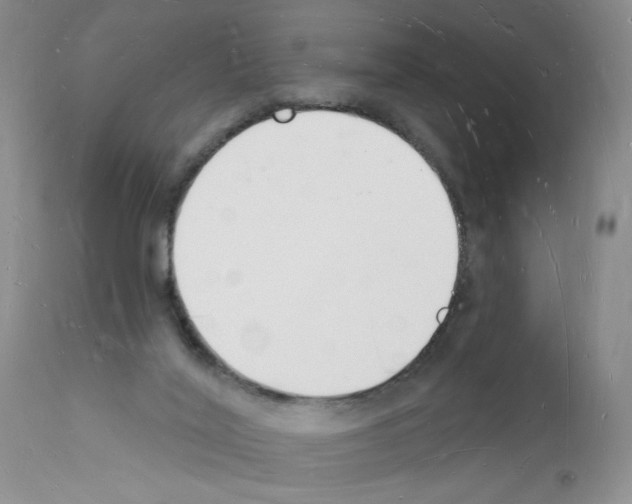 X0000112140020200909181409