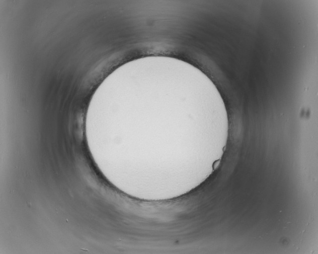 X0000112140022200909181409