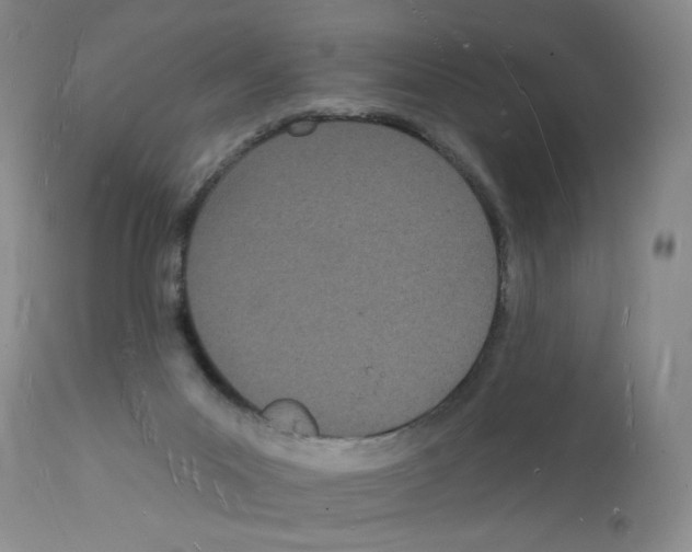 X0000112140023200909181409