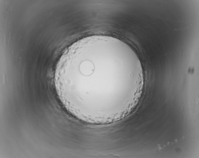 X0000112140029200909181409