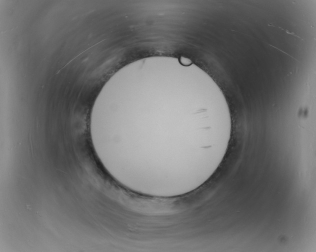 X0000112140032200909181409