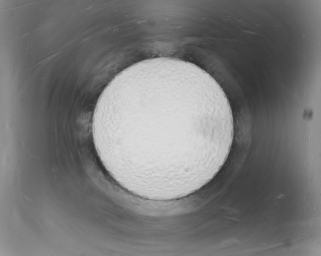 X0000112140034200909181409