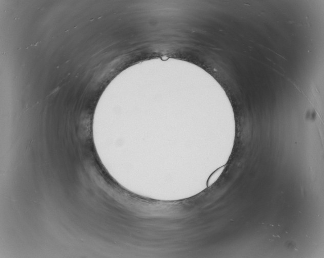 X0000112140036200909181409