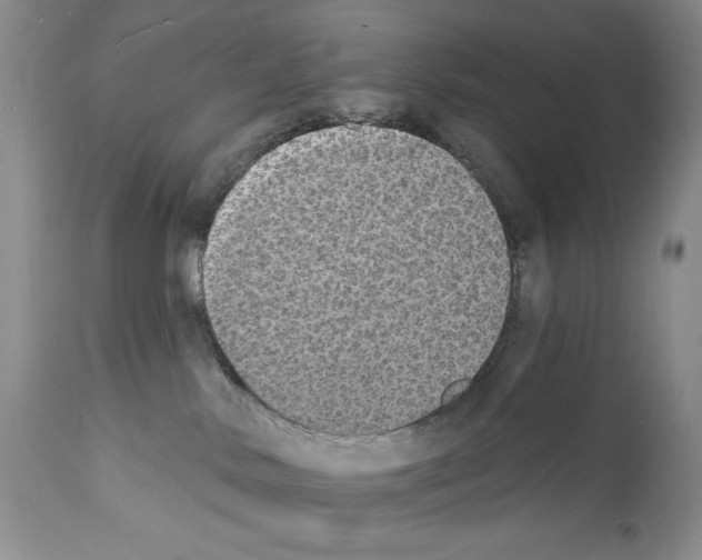 X0000112140042200909181409