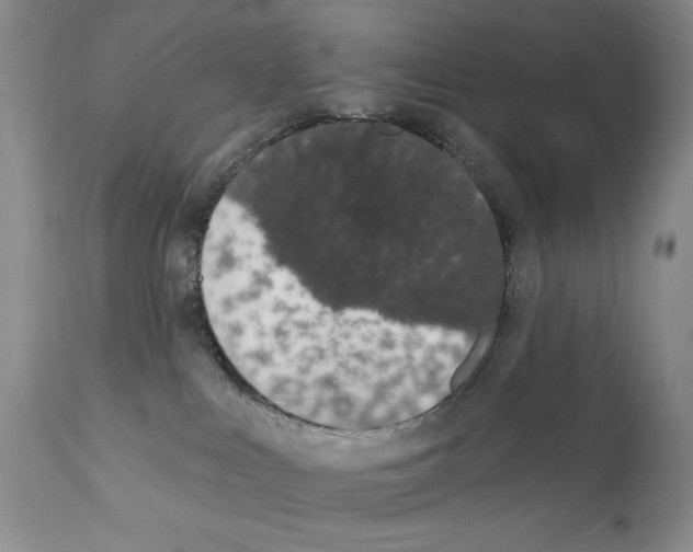 X0000112140043200909181409