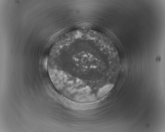 X0000112140047200909181409