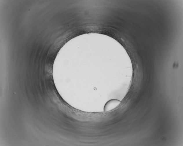 X0000112140048200909181409