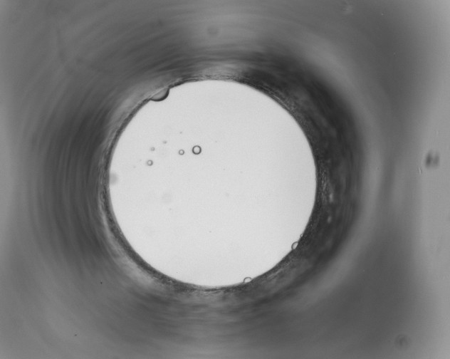 X0000112140049200909181408