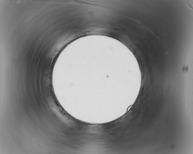 X0000112140050200909181408