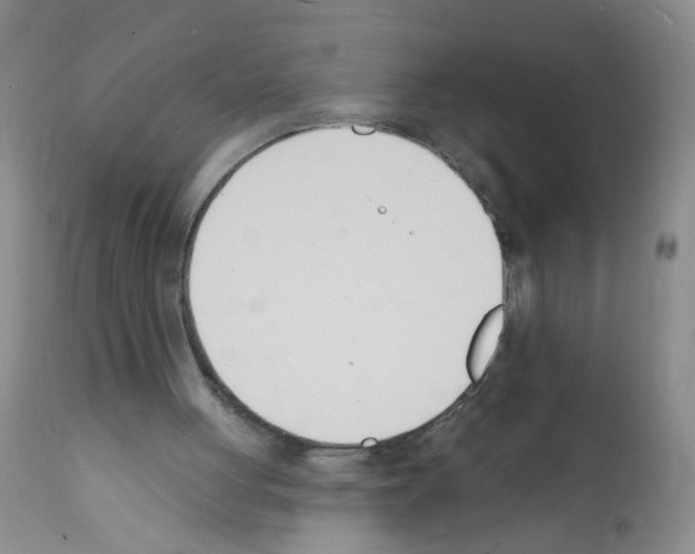 X0000112140051200909181408