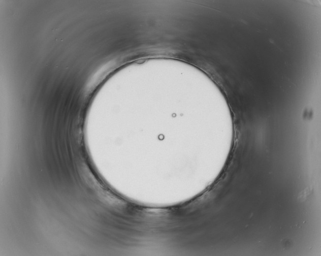 X0000112140053200909181408