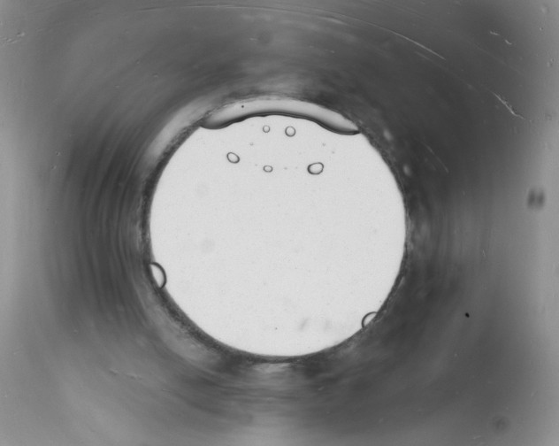 X0000112140054200909181408