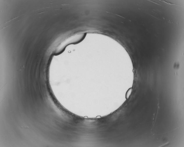 X0000112140055200909181408