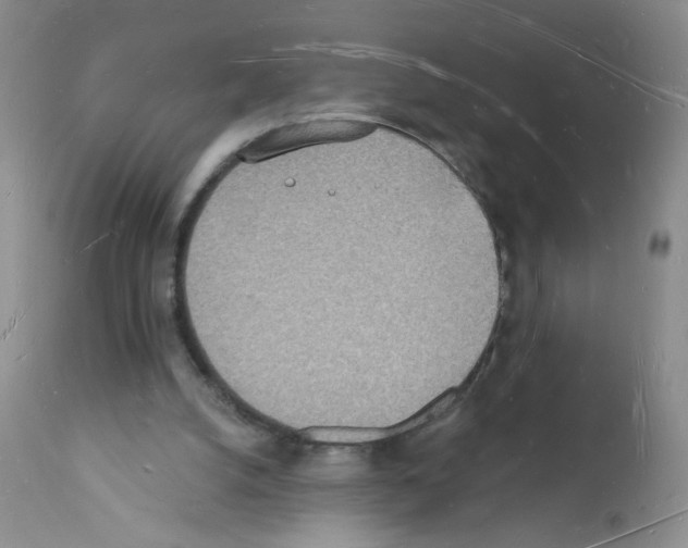 X0000112140056200909181408