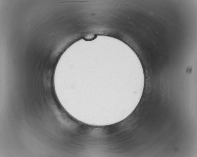 X0000112140058200909181408