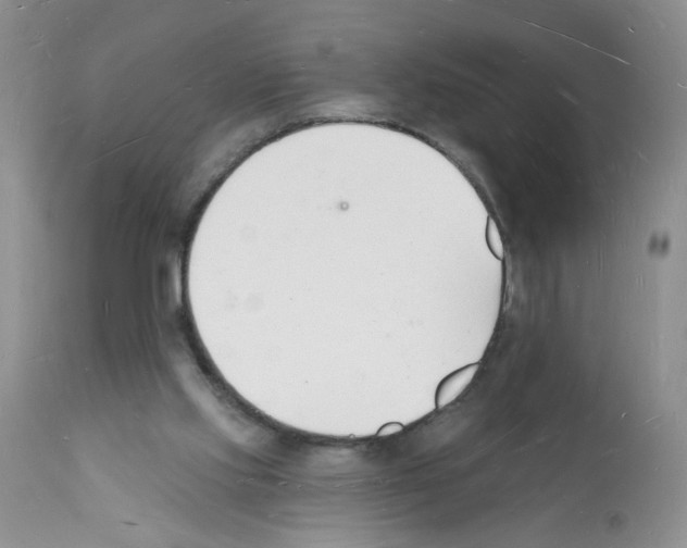 X0000112140061200909181408