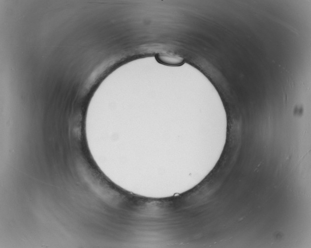 X0000112140064200909181408