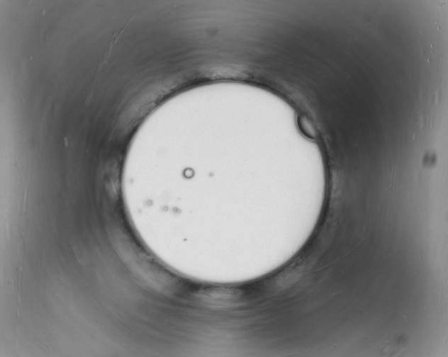 X0000112140069200909181408