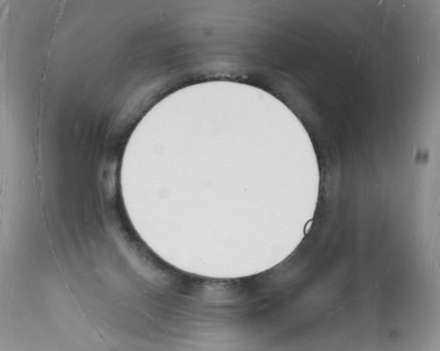 X0000112140070200909181408