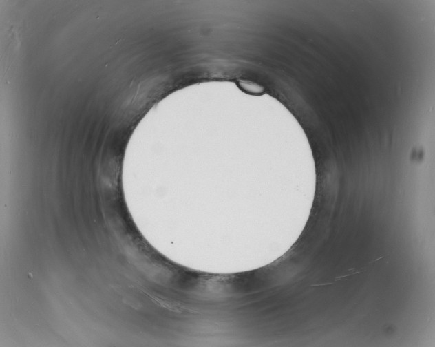 X0000112140078200909181408