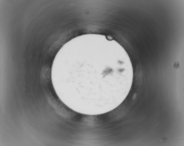 X0000112140079200909181408