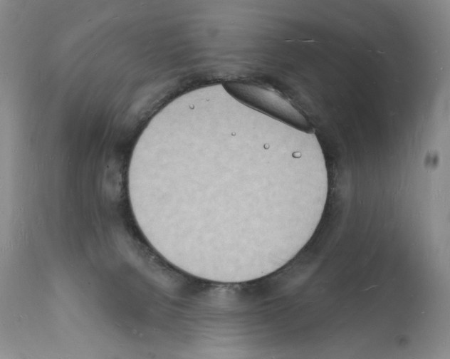 X0000112140080200909181409