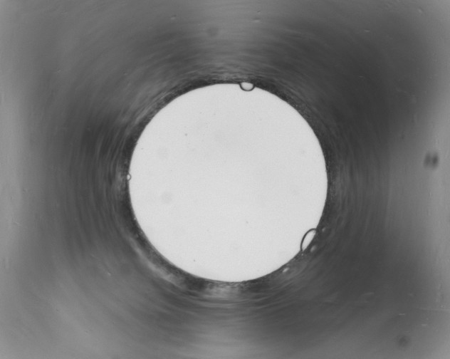 X0000112140084200909181409