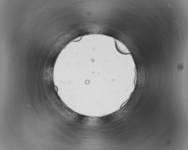 X0000112140093200909181409