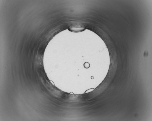 X0000112140096200909181409