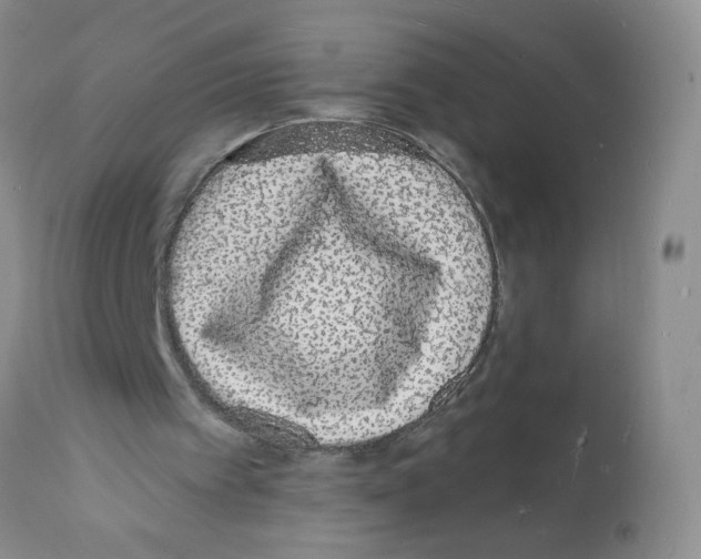 X0000112140097200909181408