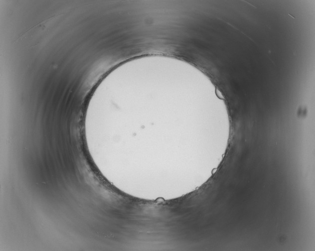 X0000112140098200909181408