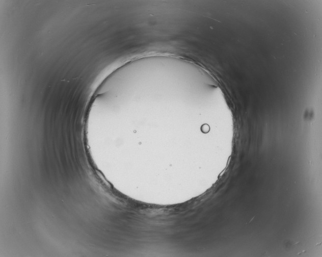 X0000112140100200909181408