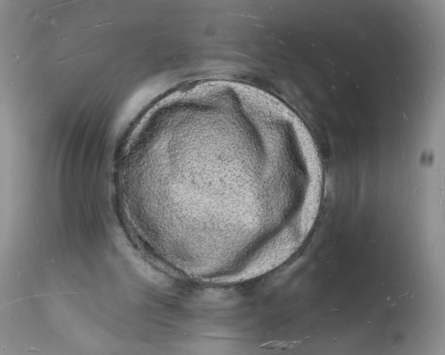 X0000112140101200909181408